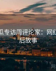 每日吃瓜专访周评论家：网红事件幕后故事