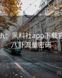 独家深扒：黑料社app下载官网明星八卦流量密码