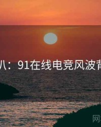 独家深扒：91在线电竞风波背后原因