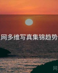 秀人网多维写真集锦趋势洞察