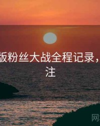 91网页版粉丝大战全程记录，值得关注