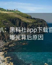 独家深扒：黑料社app下载官网恋情曝光背后原因