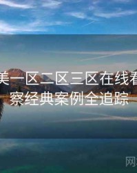 国产欧美一区二区三区在线看业界观察经典案例全追踪