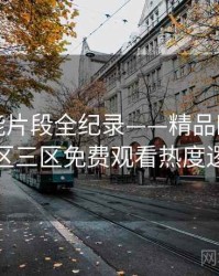 高清高能片段全纪录——精品欧美一区二区三区免费观看热度逻辑