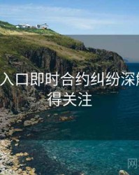 P站官网入口即时合约纠纷深解析，值得关注